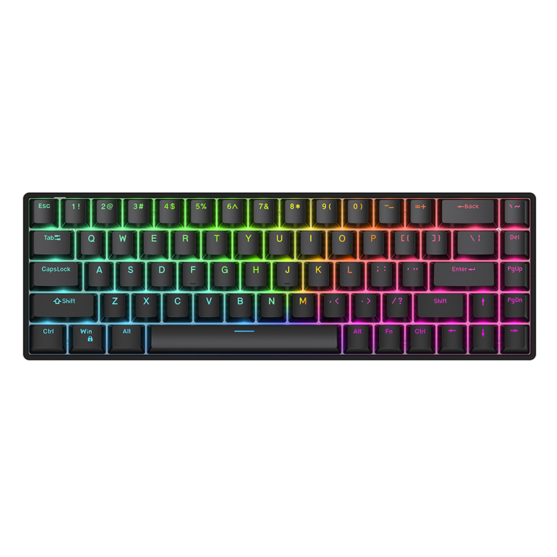 Raven68 Wired Mechanical Keybo - đánh giá và giá Gaming Keyboard Half